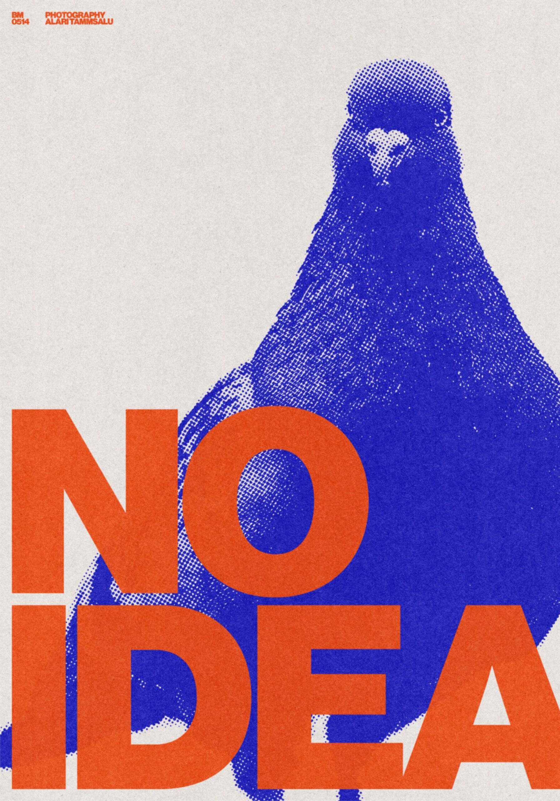 NO IDEA /514 by Brad Mead