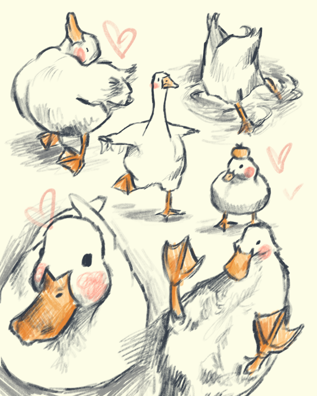 cute duck doodle sketch
