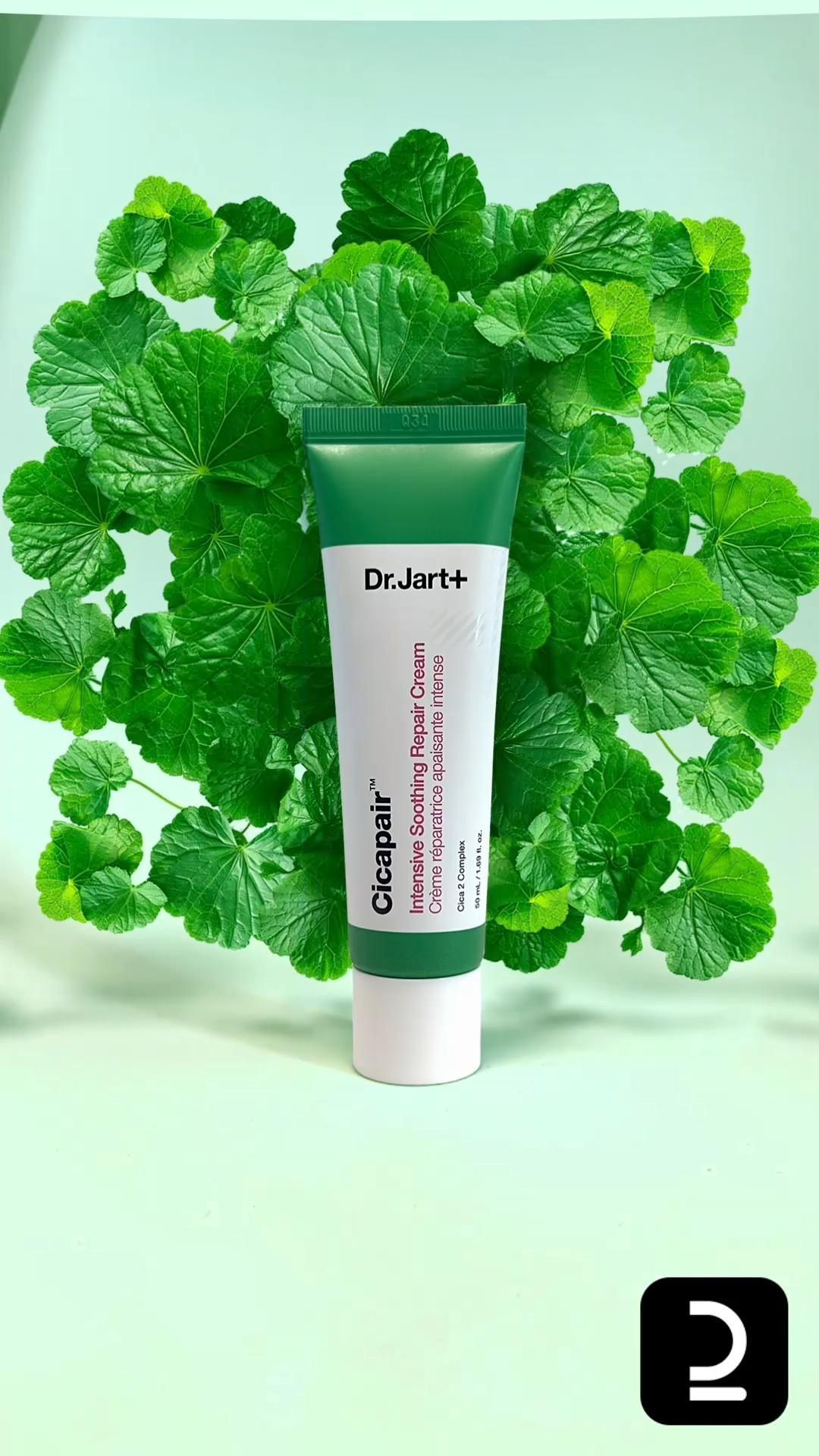 How We Create AI-Generated Videos with Runway AI