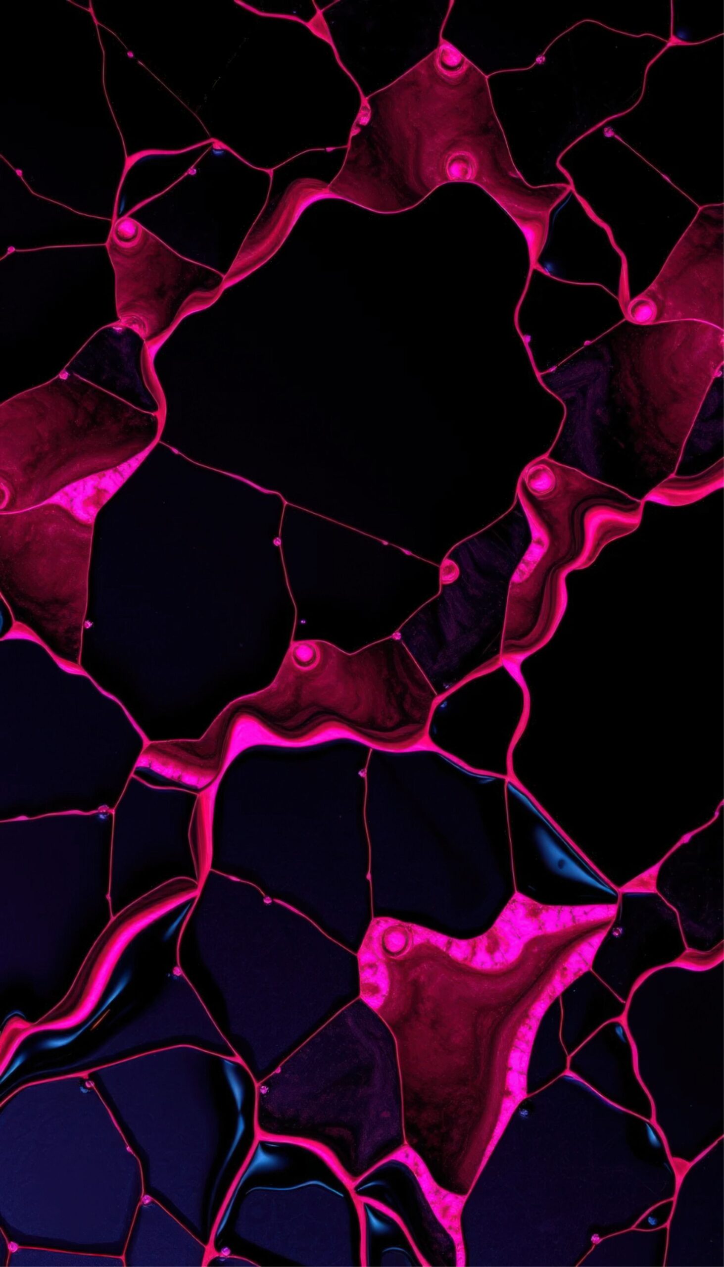 Special Edition Patterned Design Background 4K