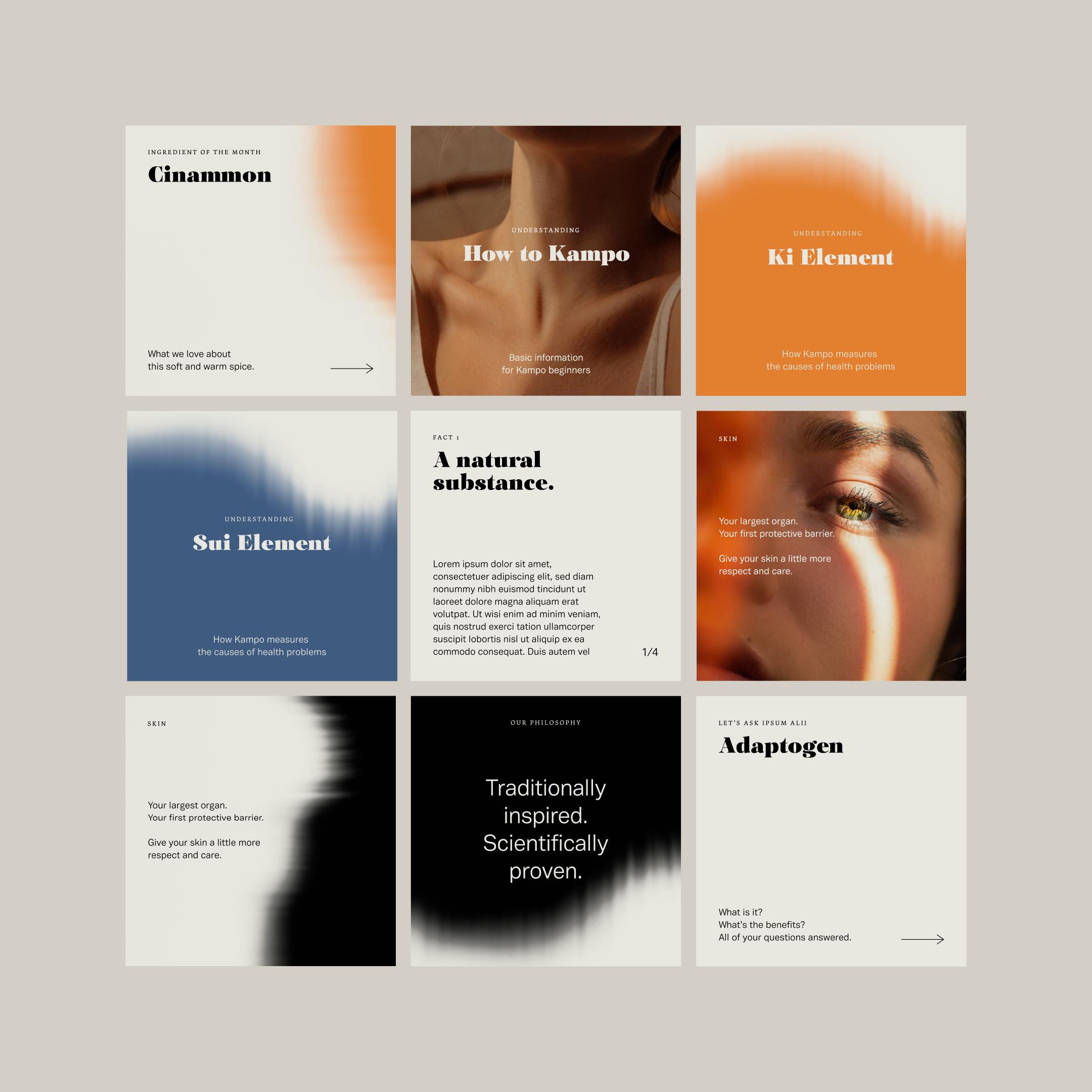 Ipsum Alii Packaging and Social Media Post Design