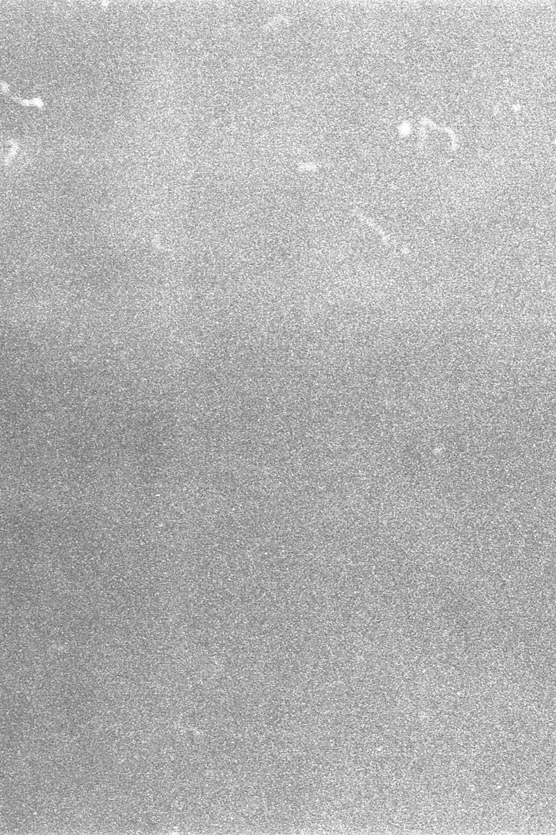 Photo by Saulo Zayas on Pexels