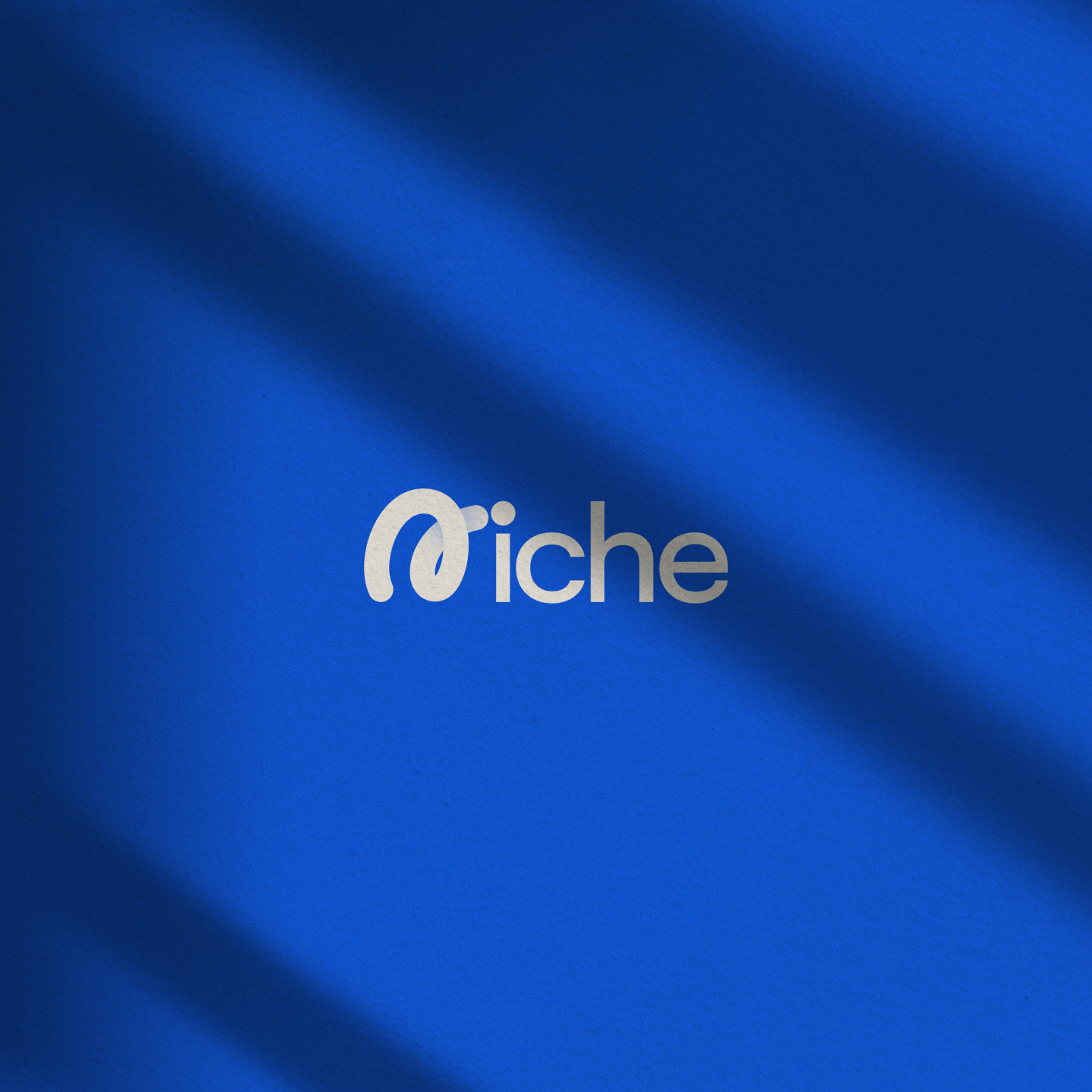 Niche AIO Digital Agency Branding and UX/UI Design | by Venlard Studios