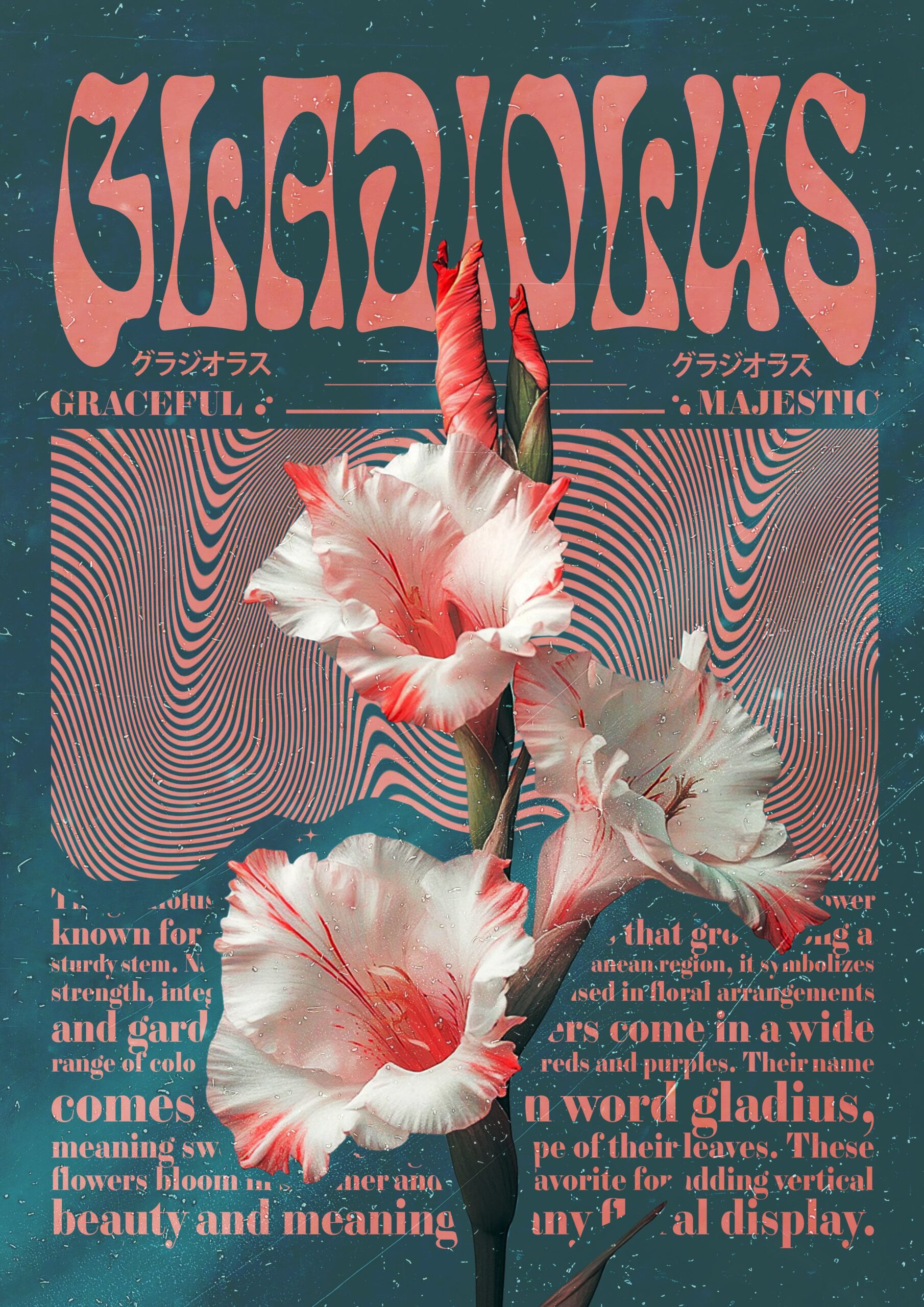 Aesthetic flower gladiolus