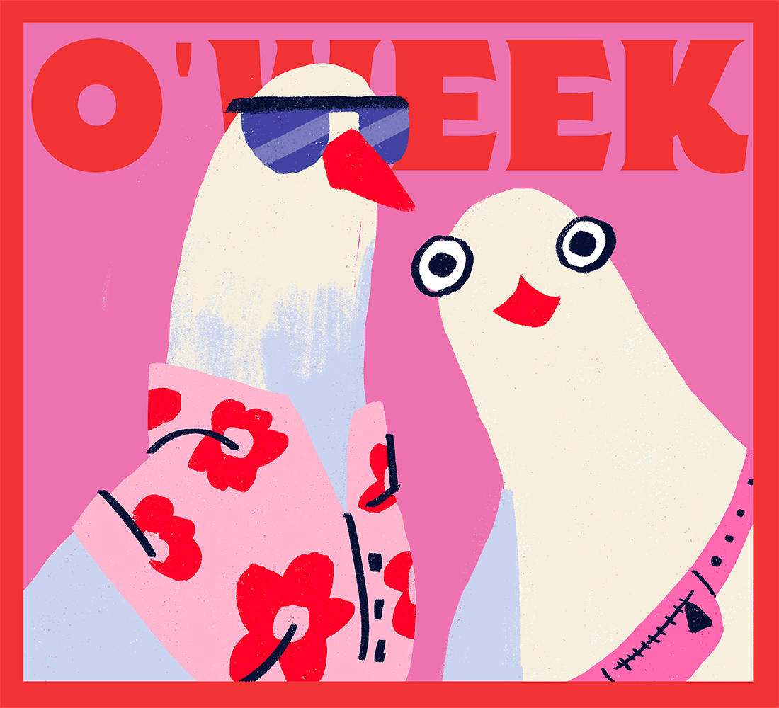Flinders University Orientation Week – Illustration Animation Design