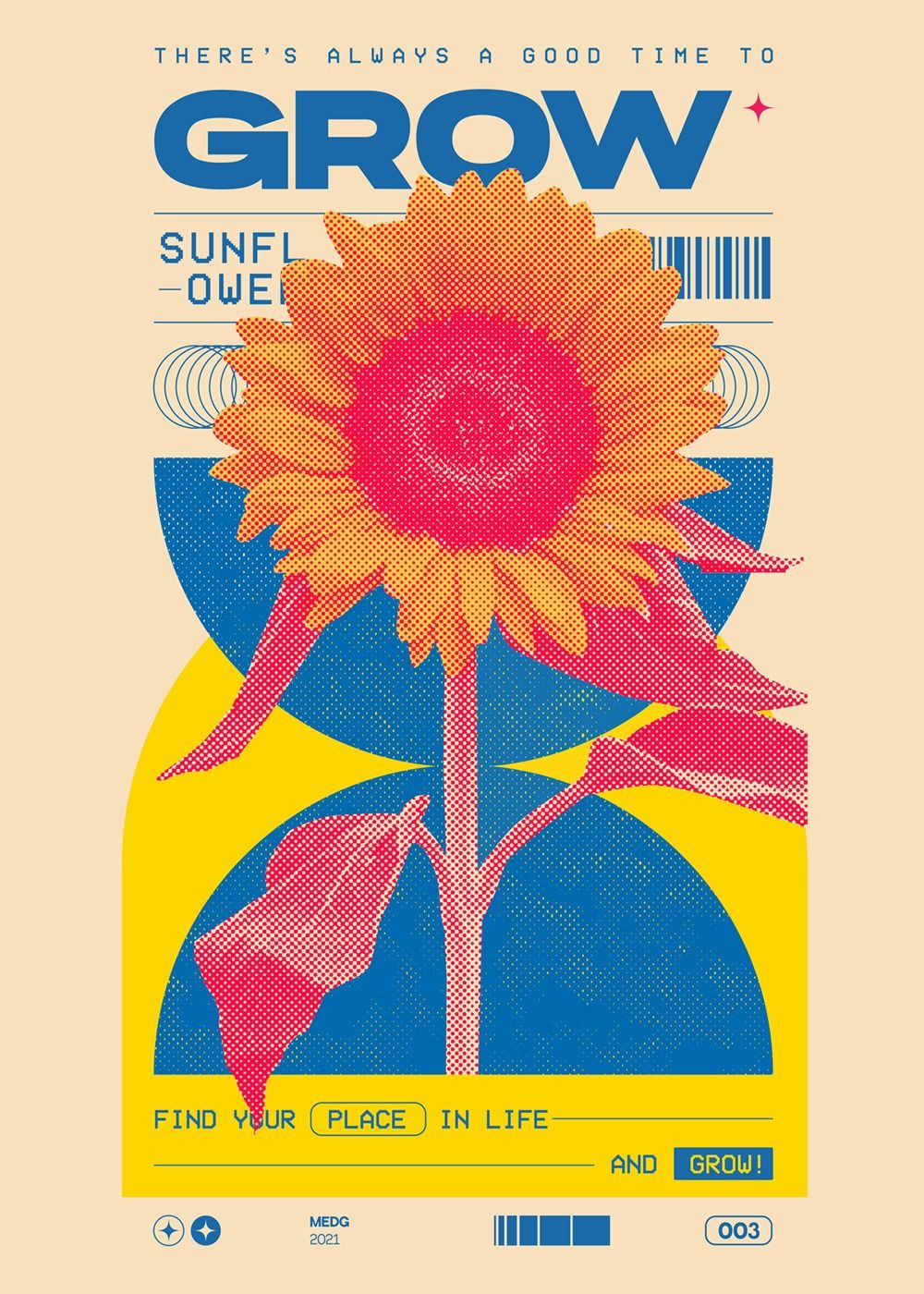 Posters Project — MEDG