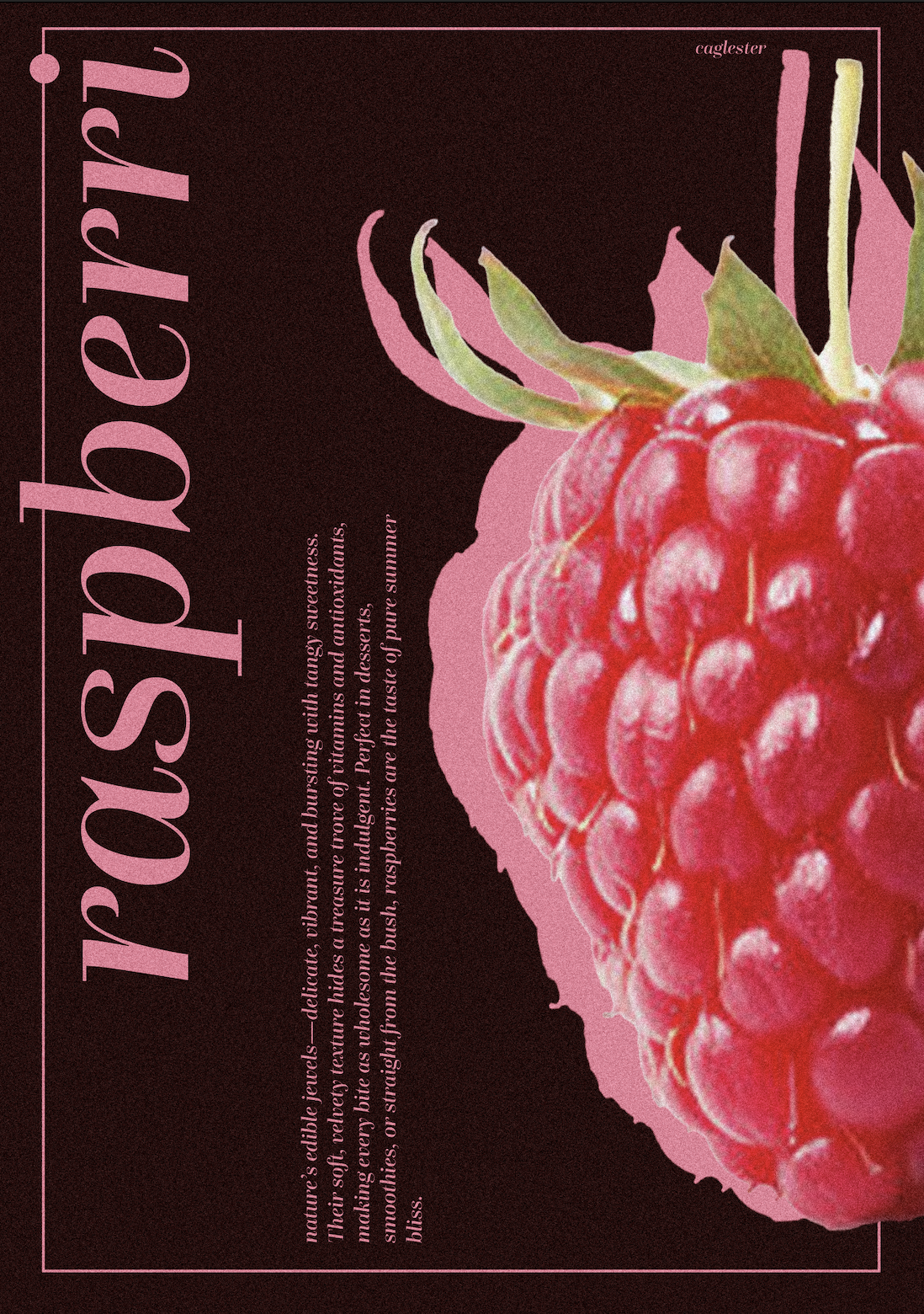 raspberry poster design