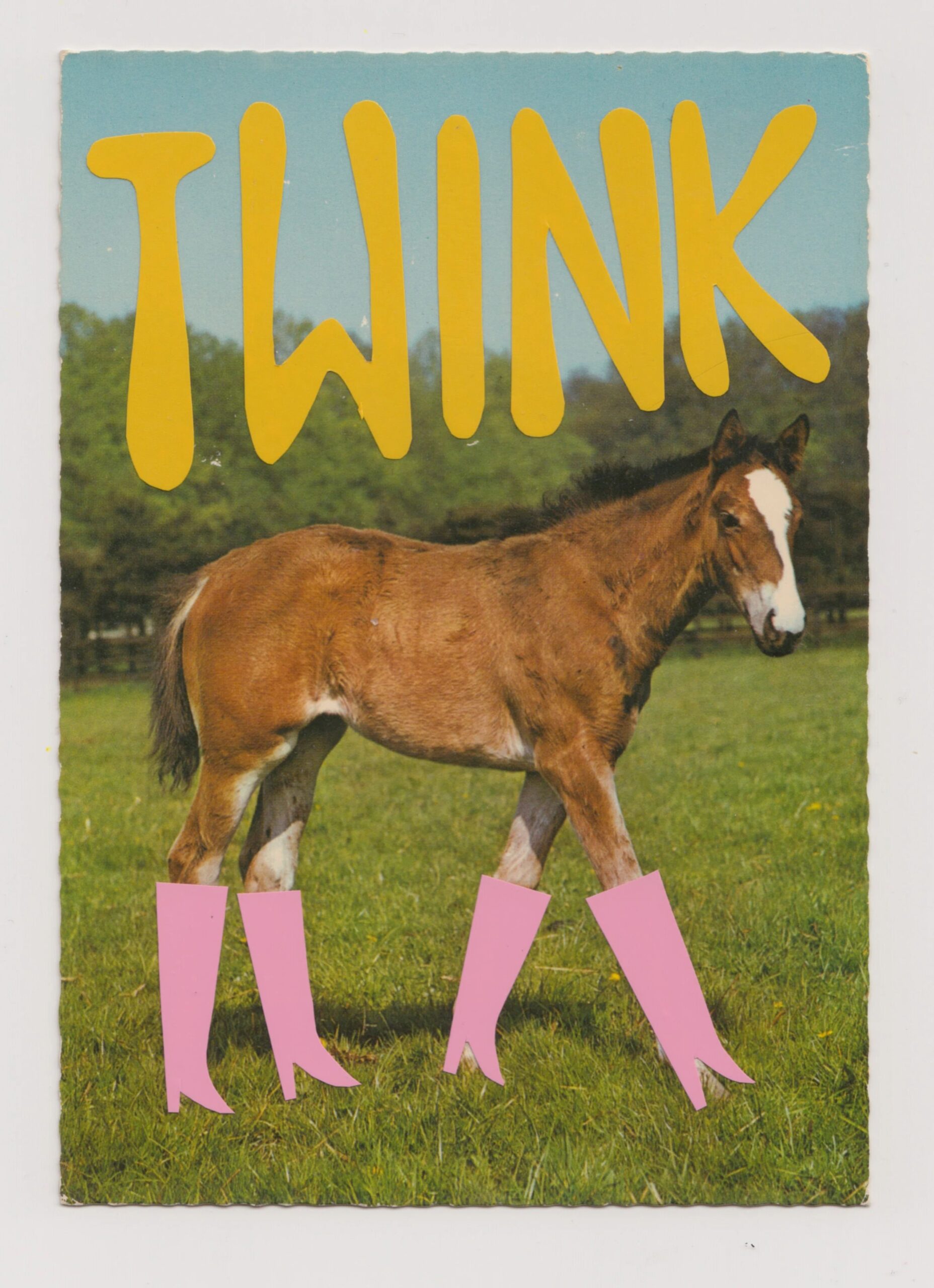 Twinks, baby dykes and proud bottoms: Stef Mosebach’s horses are here to deliver some queer joy