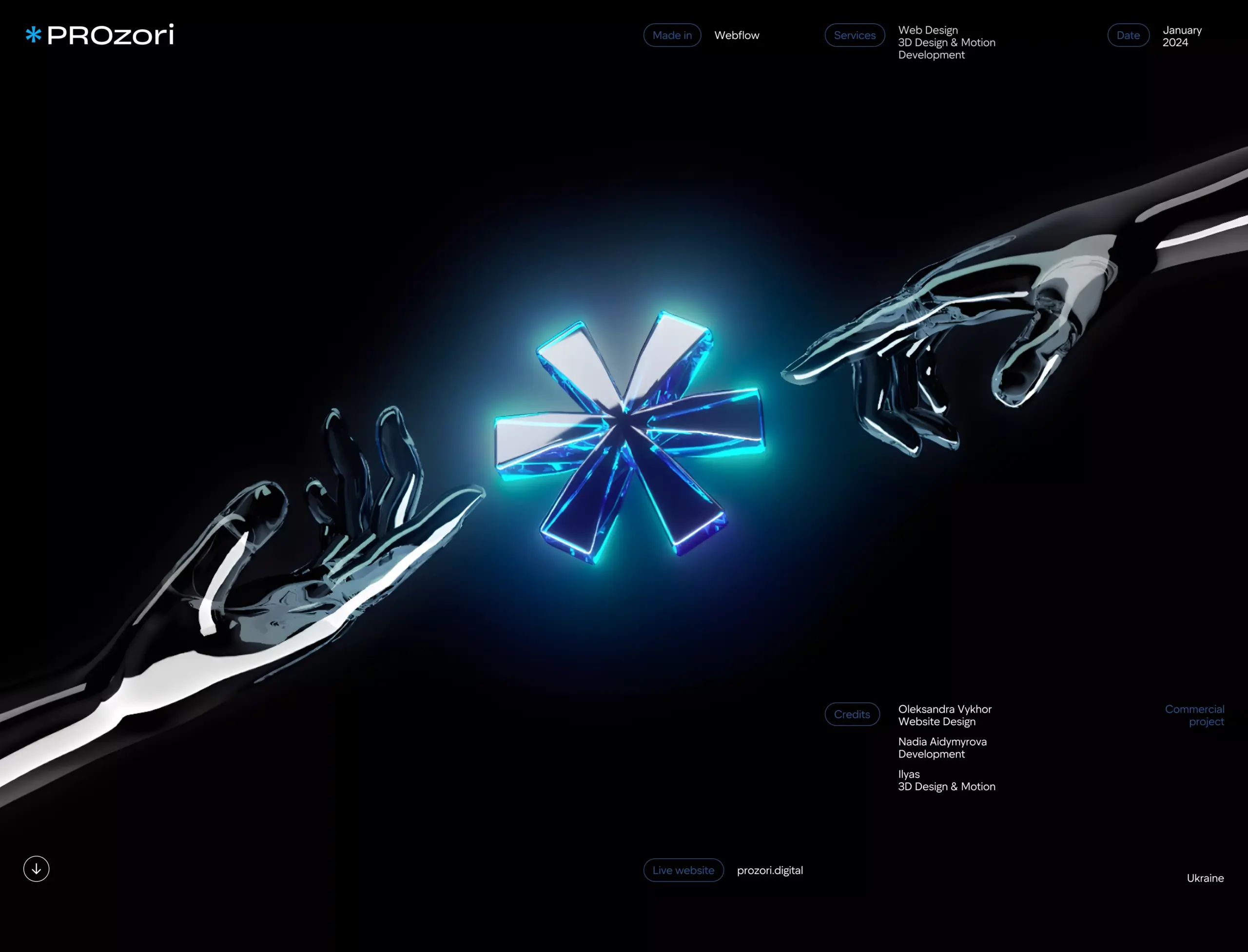 PROzori | Marketing Agency | Corporate Website – Oleksandra V