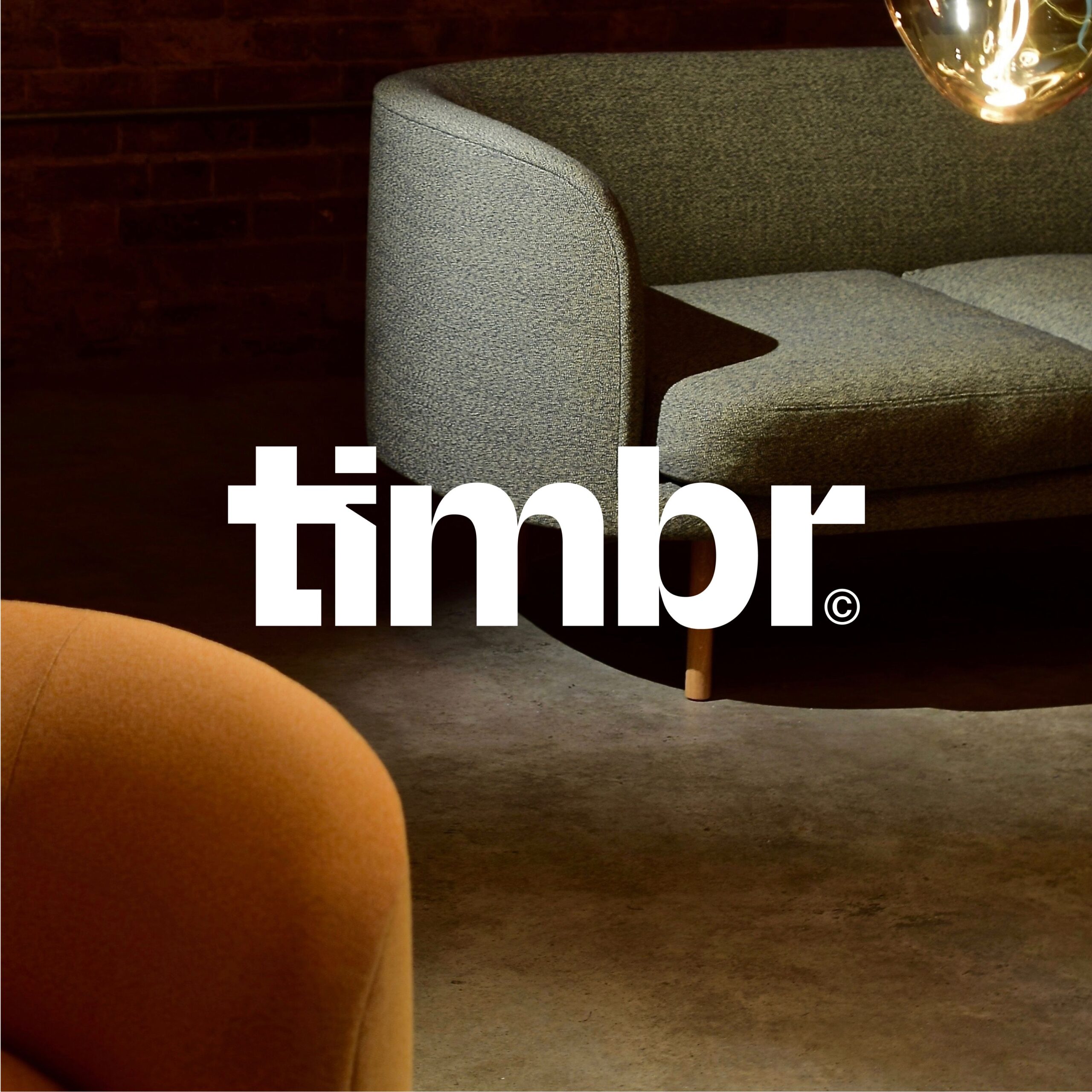 Timbr logo design | identity design | logo design ideas