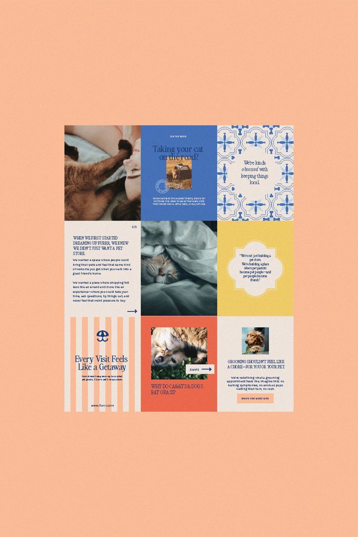 Vibrant & Playful Pet Shop Social Media Branding Inspiration from Marbella