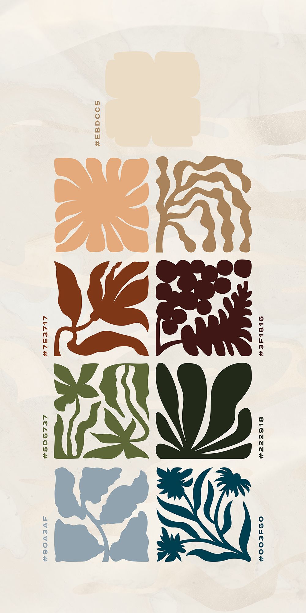 Heartstory | Australian flower illustrations for photographer branding by Obscurio & Co.