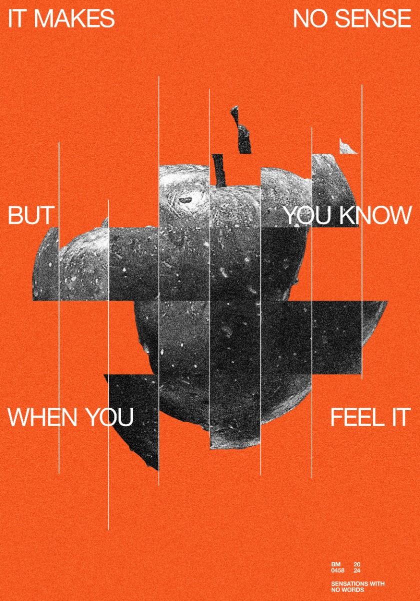 NO SENSE /458 by Brad Mead