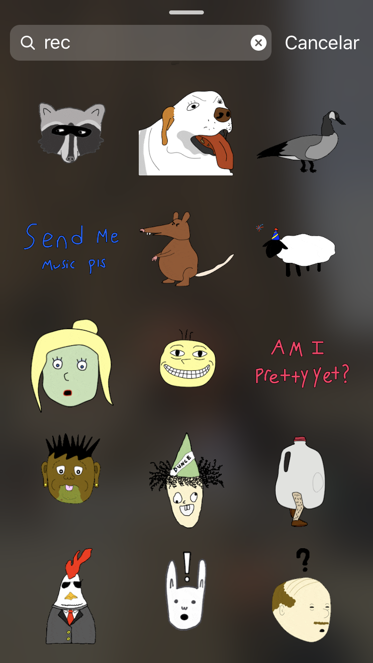 Funny Instagram gifs 🙆🏻‍♀️