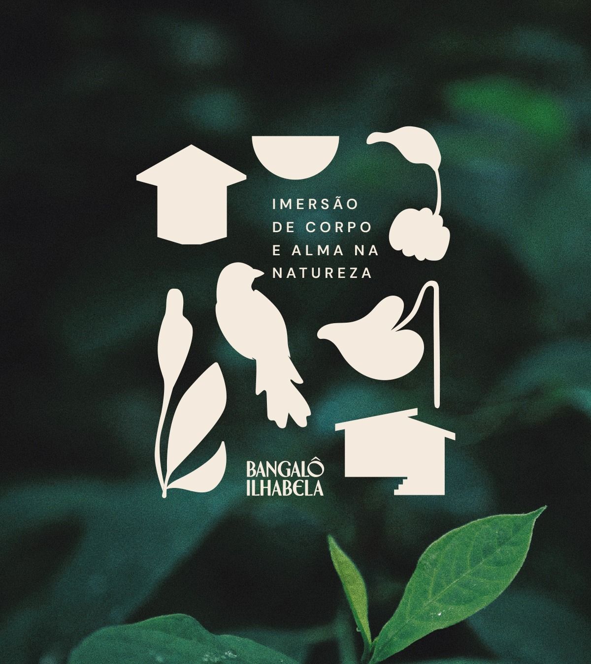 Bangalô Ilhabela: Branding e Marca – Carinhas