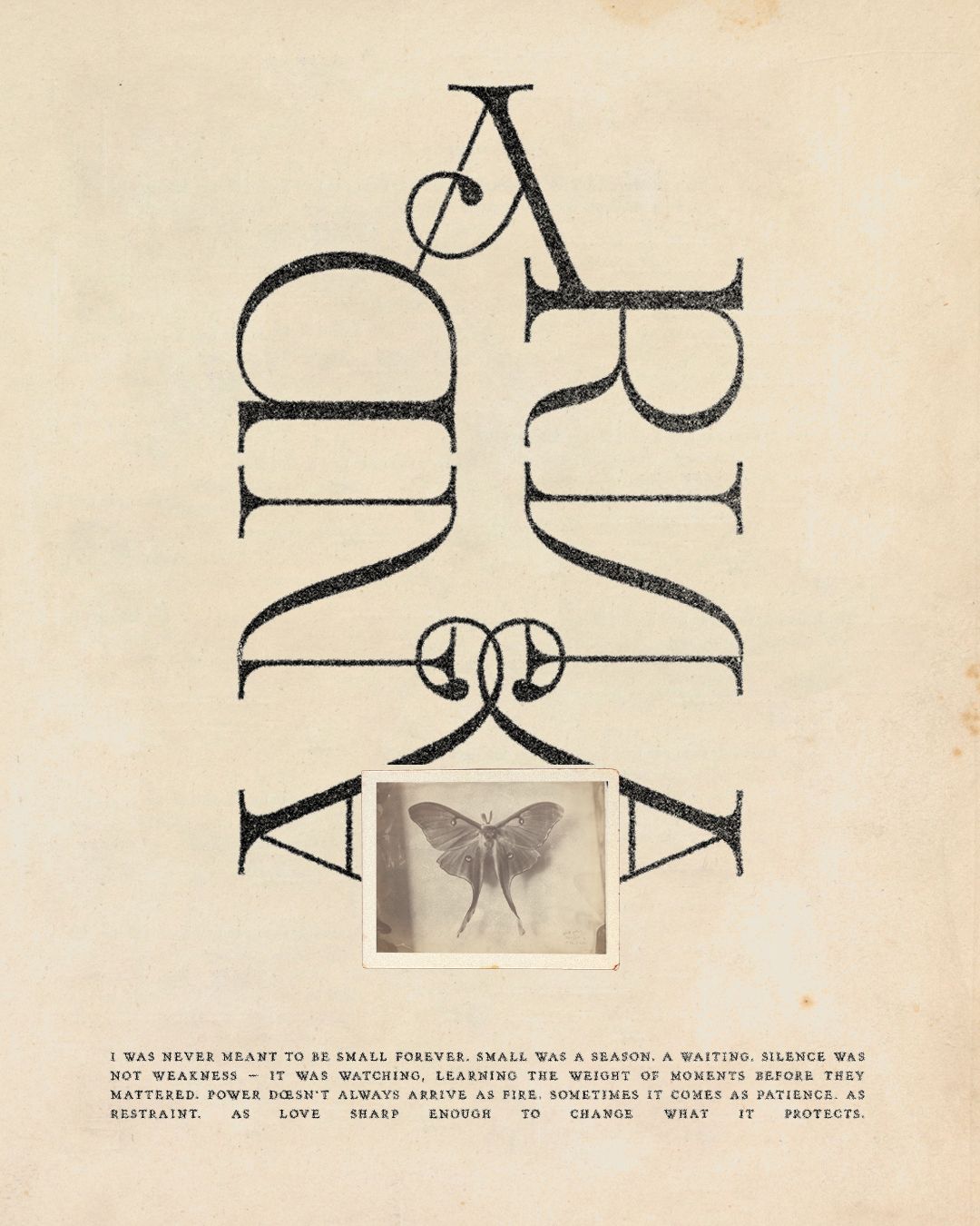 Whimsical, Romantic, Elegant Branding and Logo Design Inspired By Fourth Wing