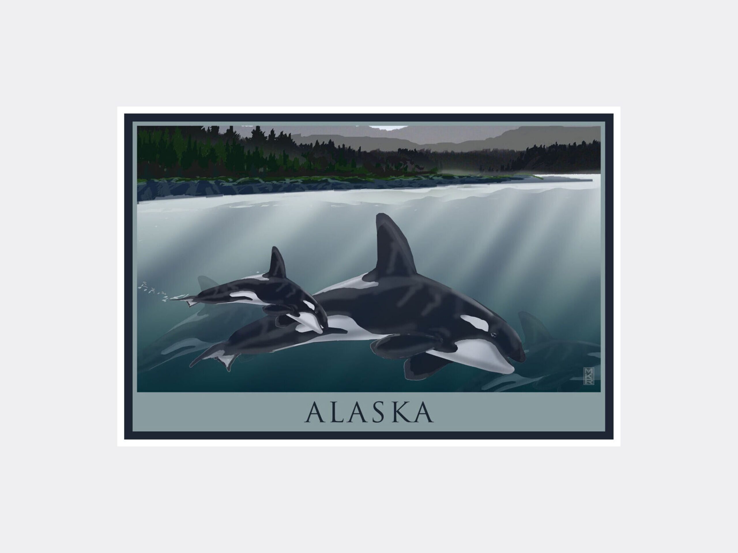Alaska Orca Pod Alaska Giclee Art Print Poster from Illustration by Artist Mike Rangner