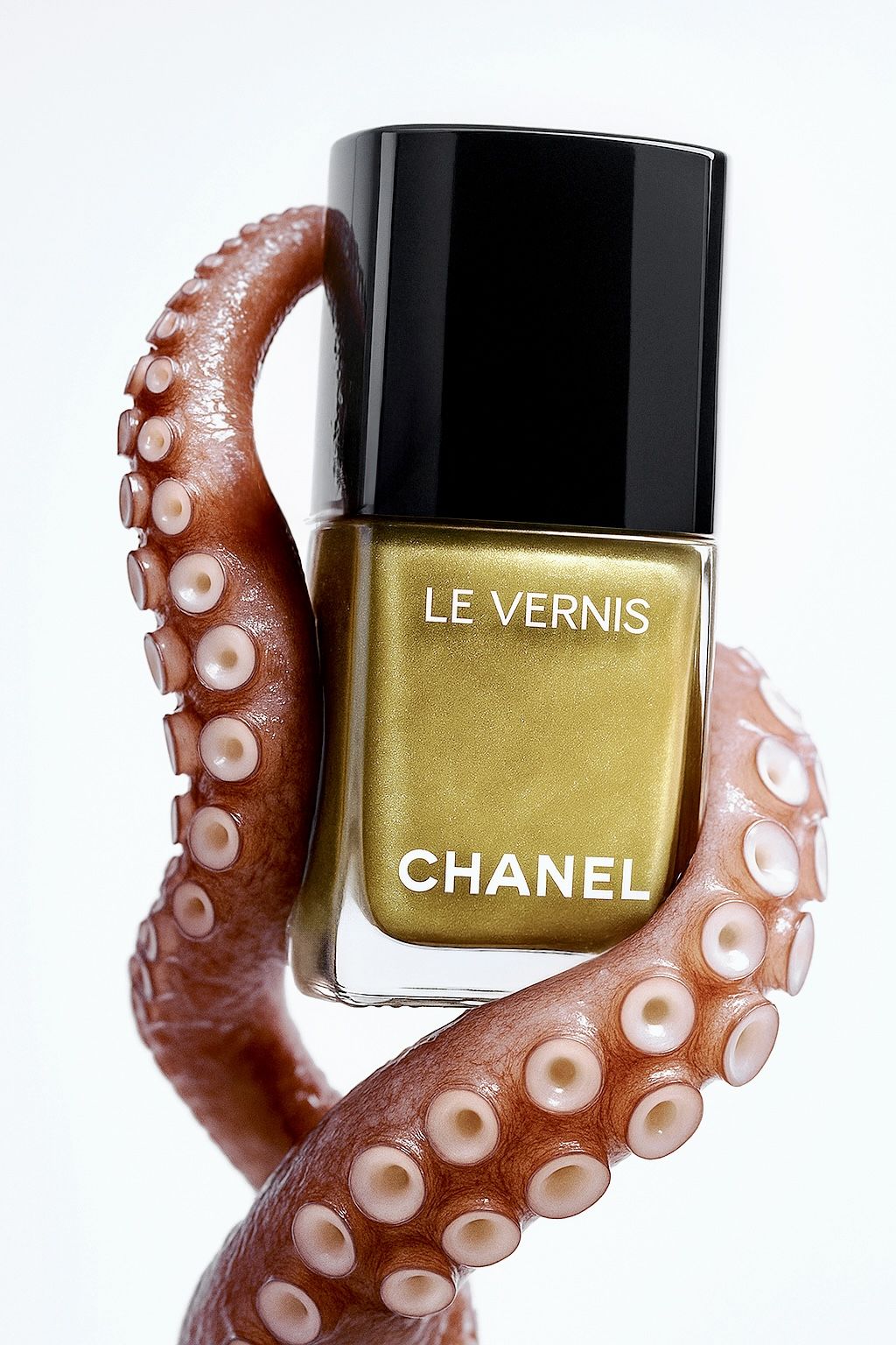 Octopus Embrace: AI x Chanel
