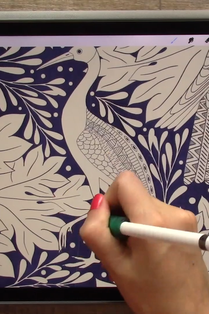 Art Nouveau Illustrations in on Your iPad Procreate