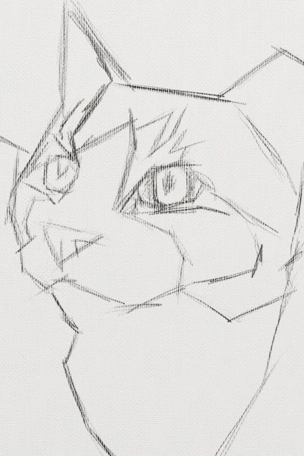 How To Paint A Cat On The iPad Pro – Digital Painting Tutorial