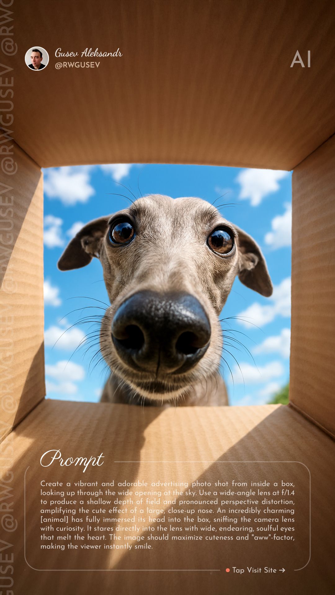 Cute Animal in Box | Smart Prompt