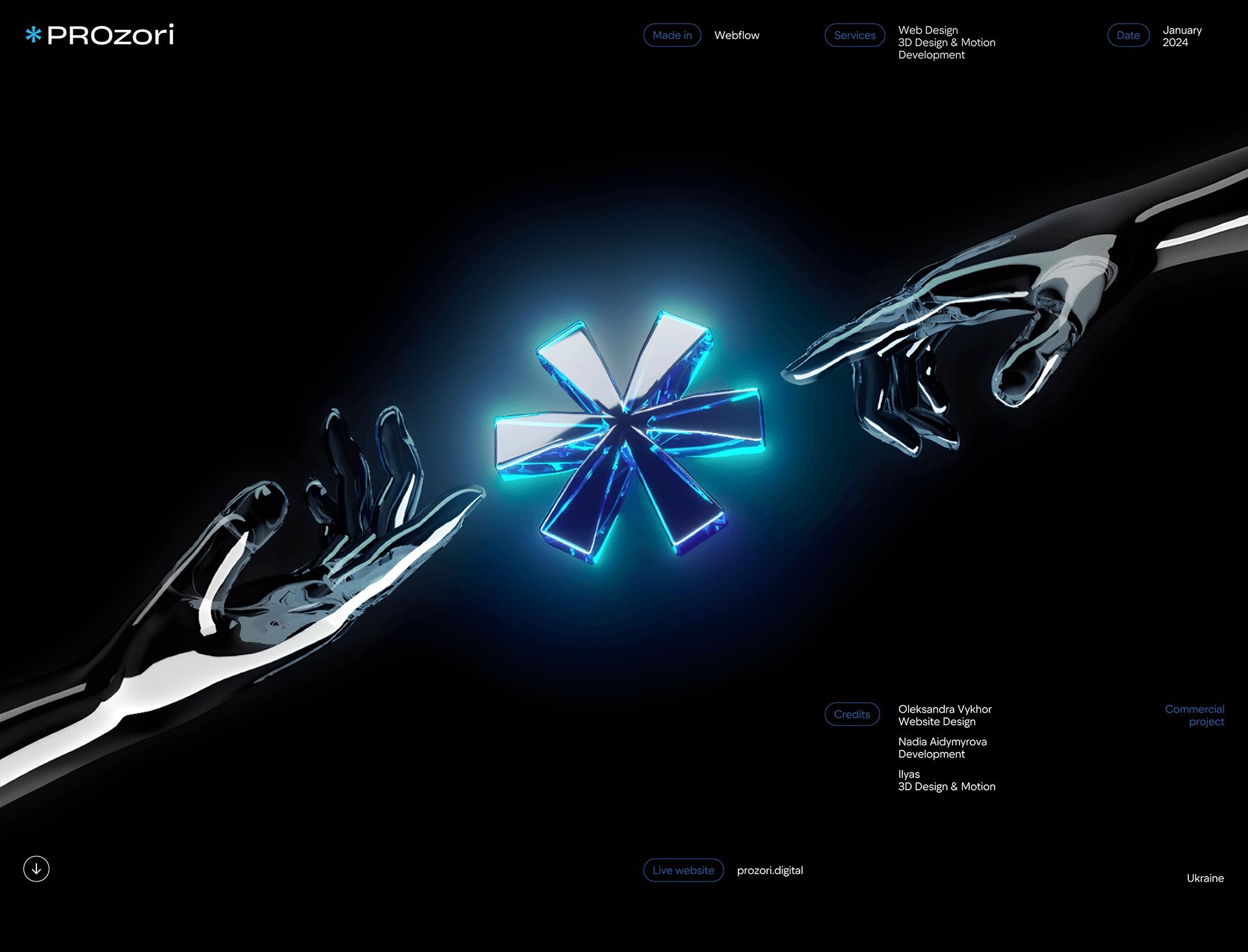 PROzori | Marketing Agency | Corporate Website – Oleksandra V