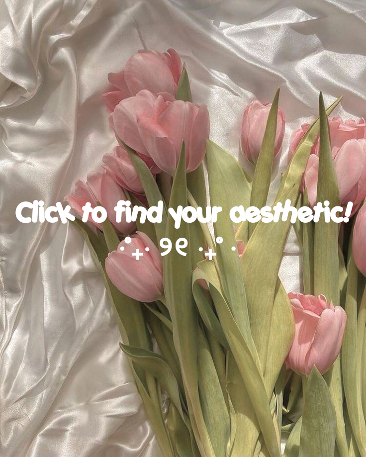 Find your aesthetic!! I got coquette ✨