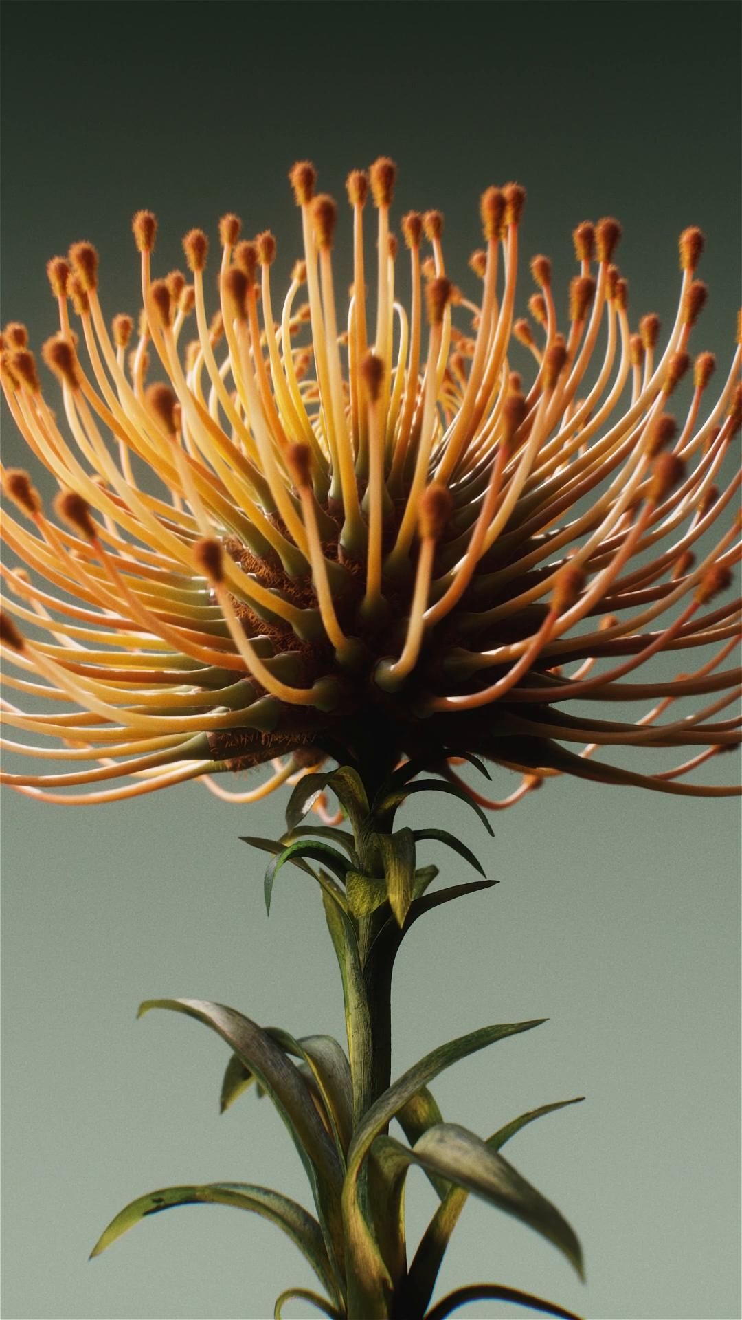 Faux Flora by Zachary Corzine