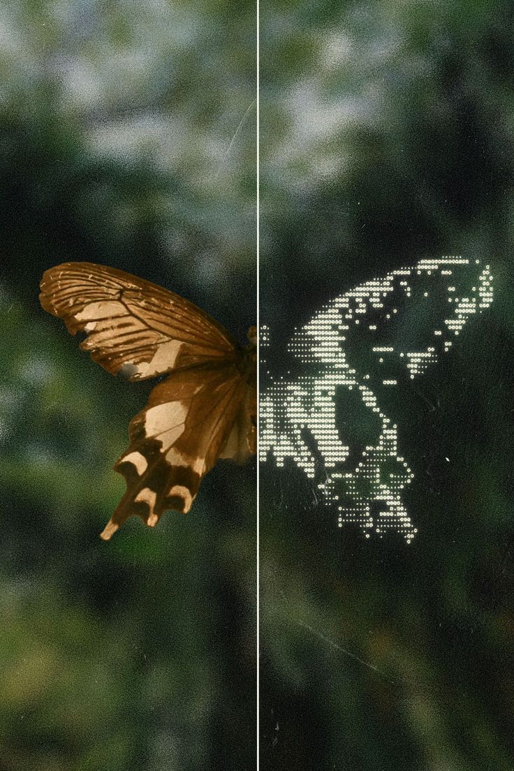 Before & After ASCII Effect | Photo to Text Art Figma Plugin