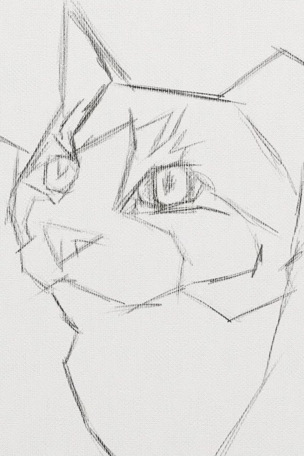 How To Paint A Cat On The iPad Pro – Digital Painting Tutorial