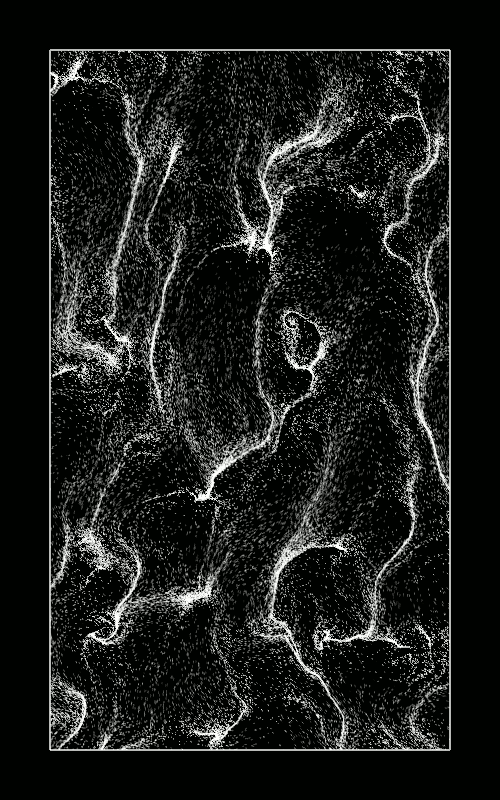 necessary disorder: Photo