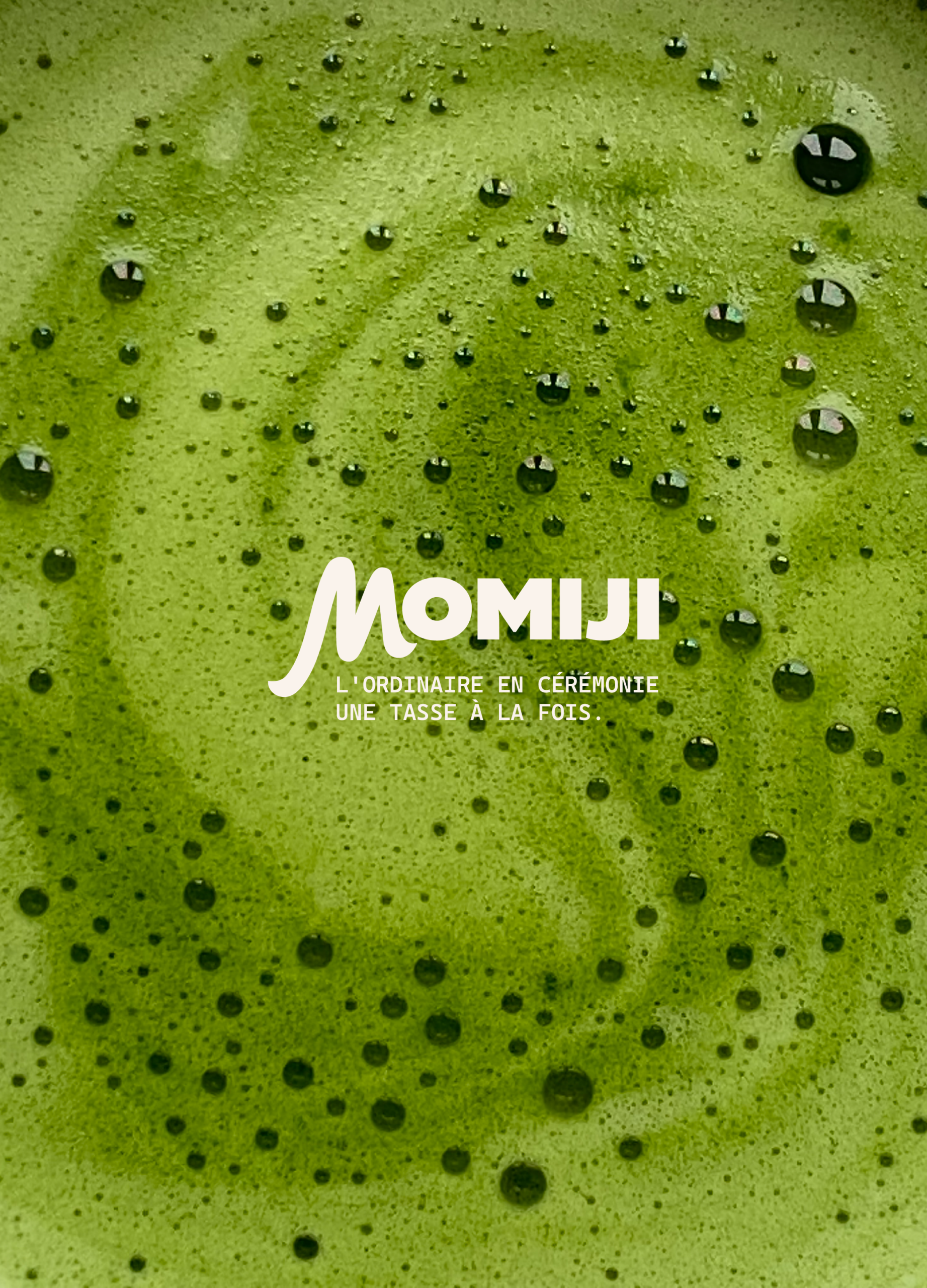 Logo de marque Matcha : identité visuelle inspirée du rituel japonais