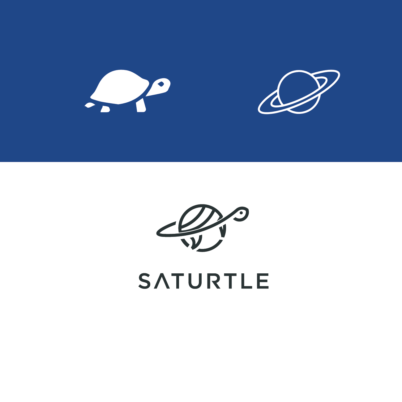 Saturtle (Saturn + turtle) – nillotus chakma