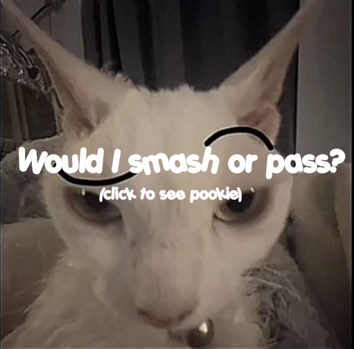Would I smash or pass🤭
