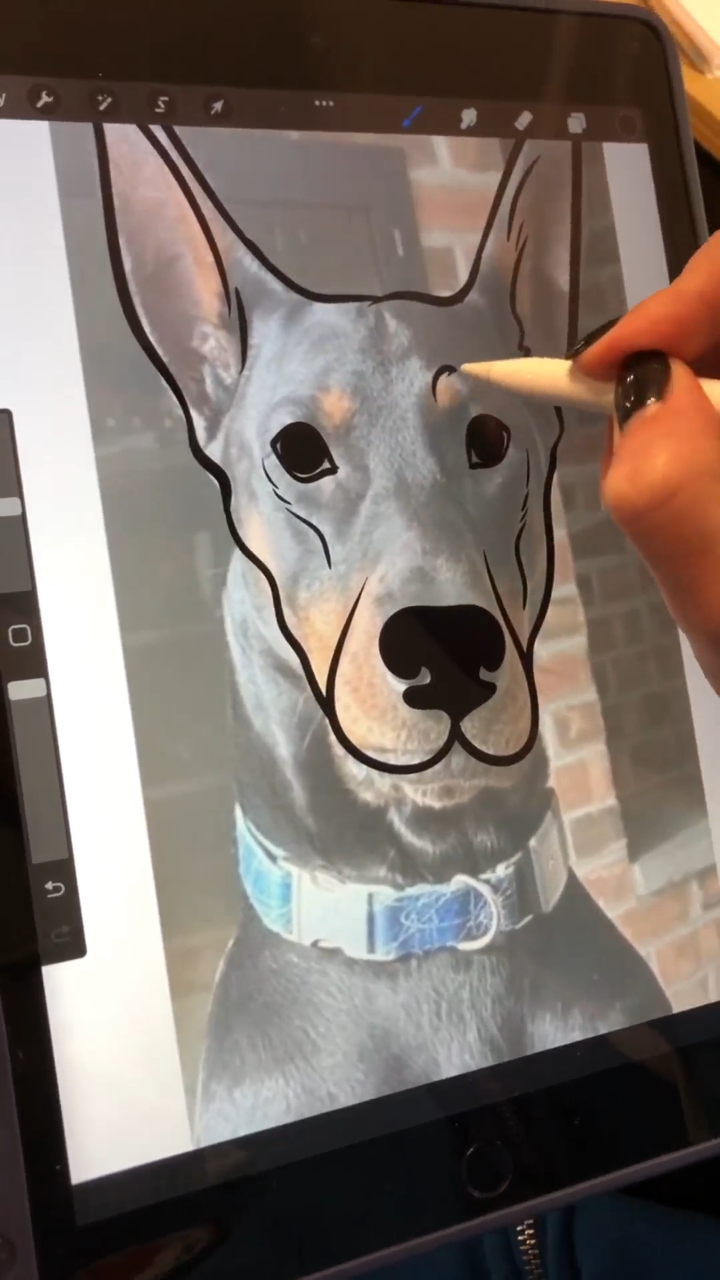 Dog Drawing Clipart