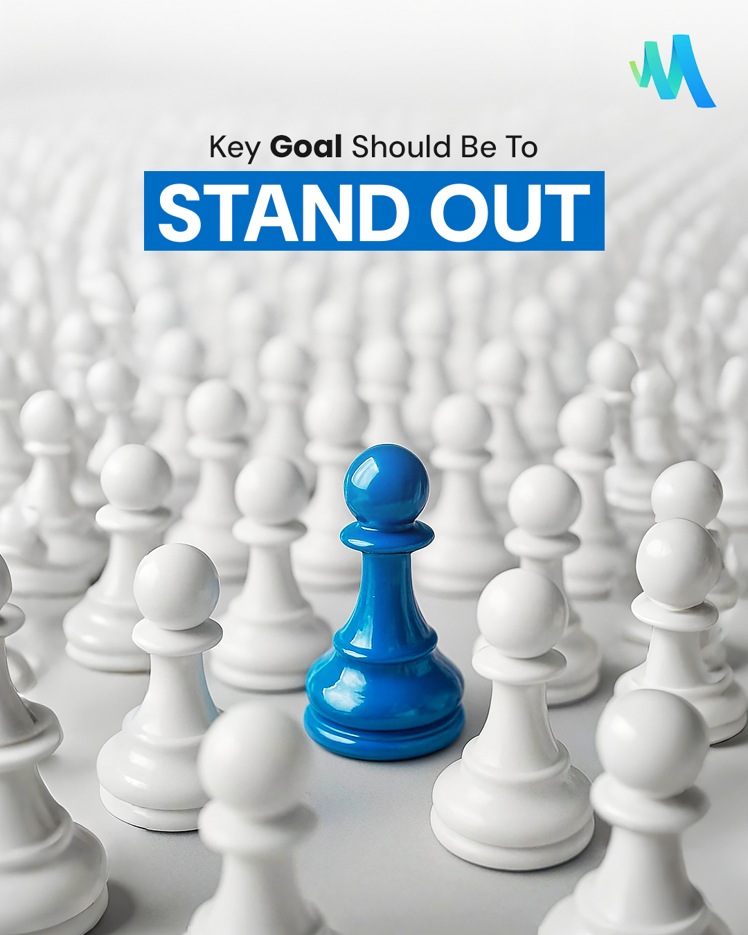 In a crowded digital world, don’t just fit in — stand out.