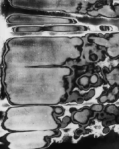 Galerie Chrudim | ART GALLERY – Svetlana & Lubos Jelinek – Czech and world art