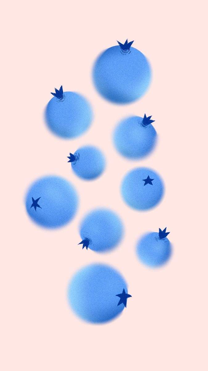 BLUEBERRY illustration