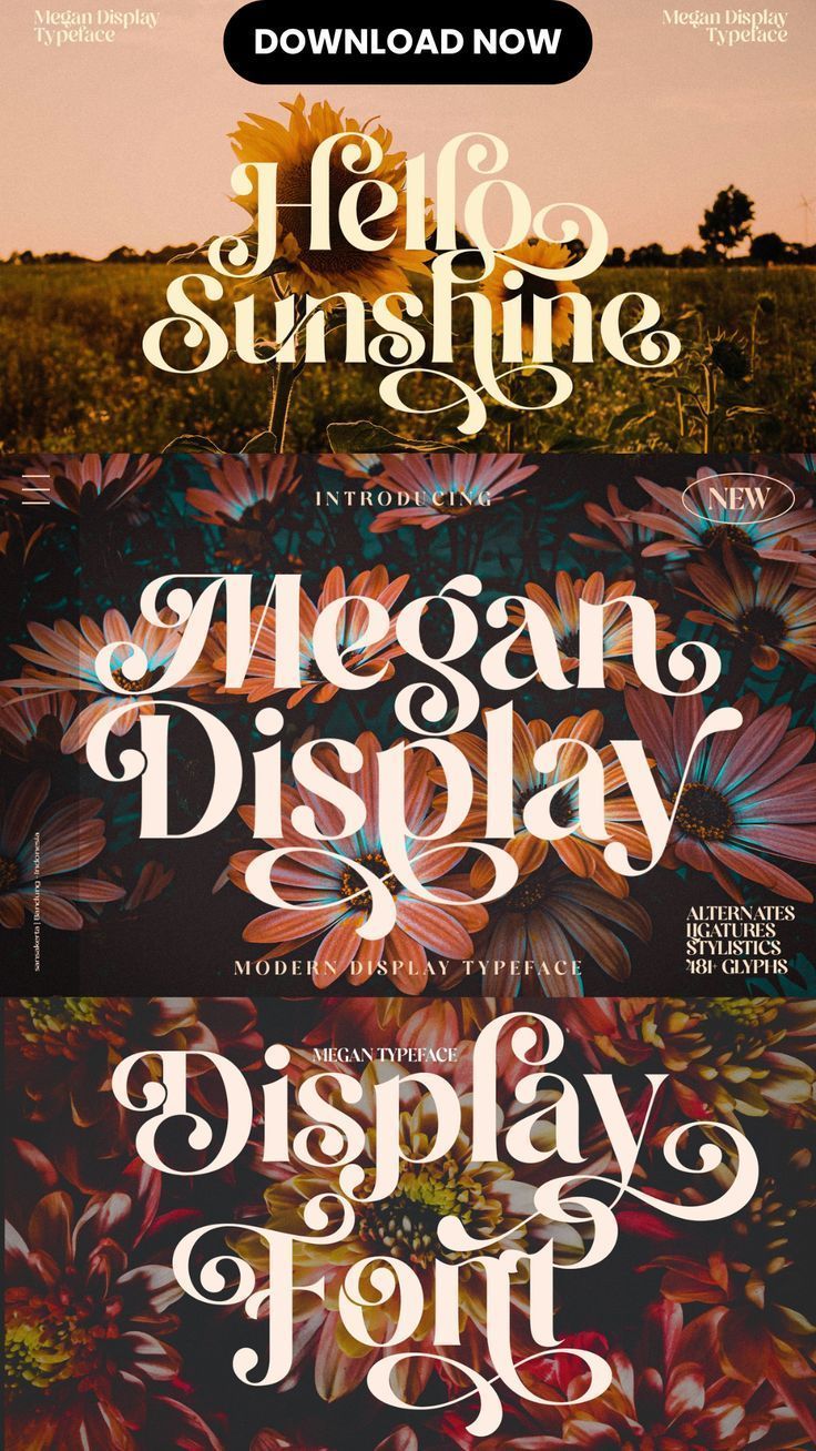 Transform your holiday designs with Christmas lettering