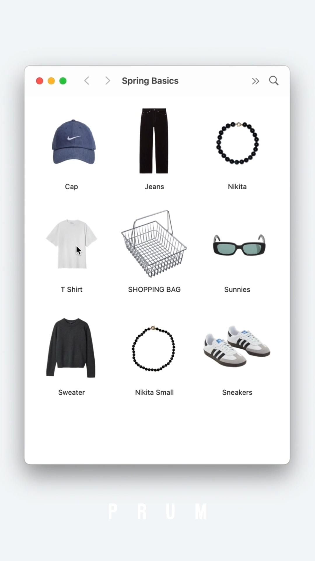 Spring basics with PRUM