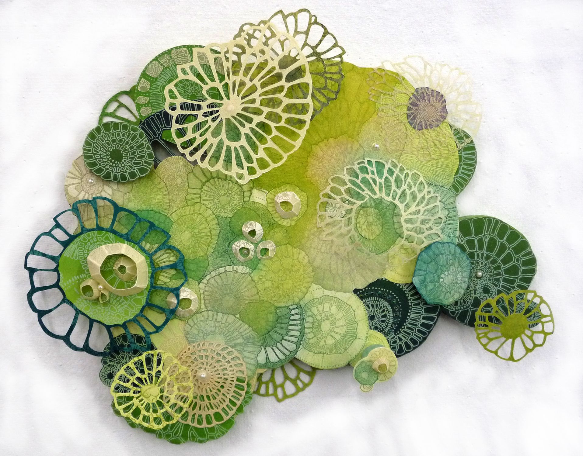 Embarking on new adventures!