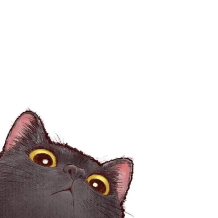 No get that shit away – Funny